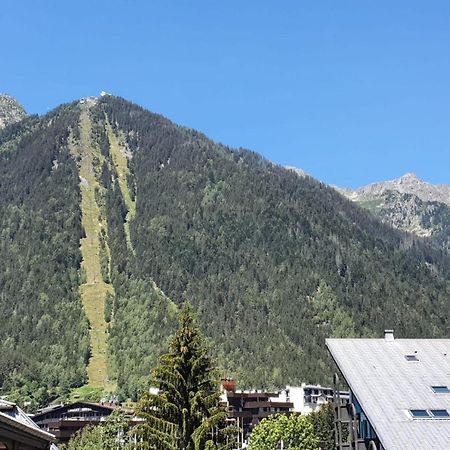 Nice 32M With Balcony View On The Mountain Chamonix Bagian luar foto
