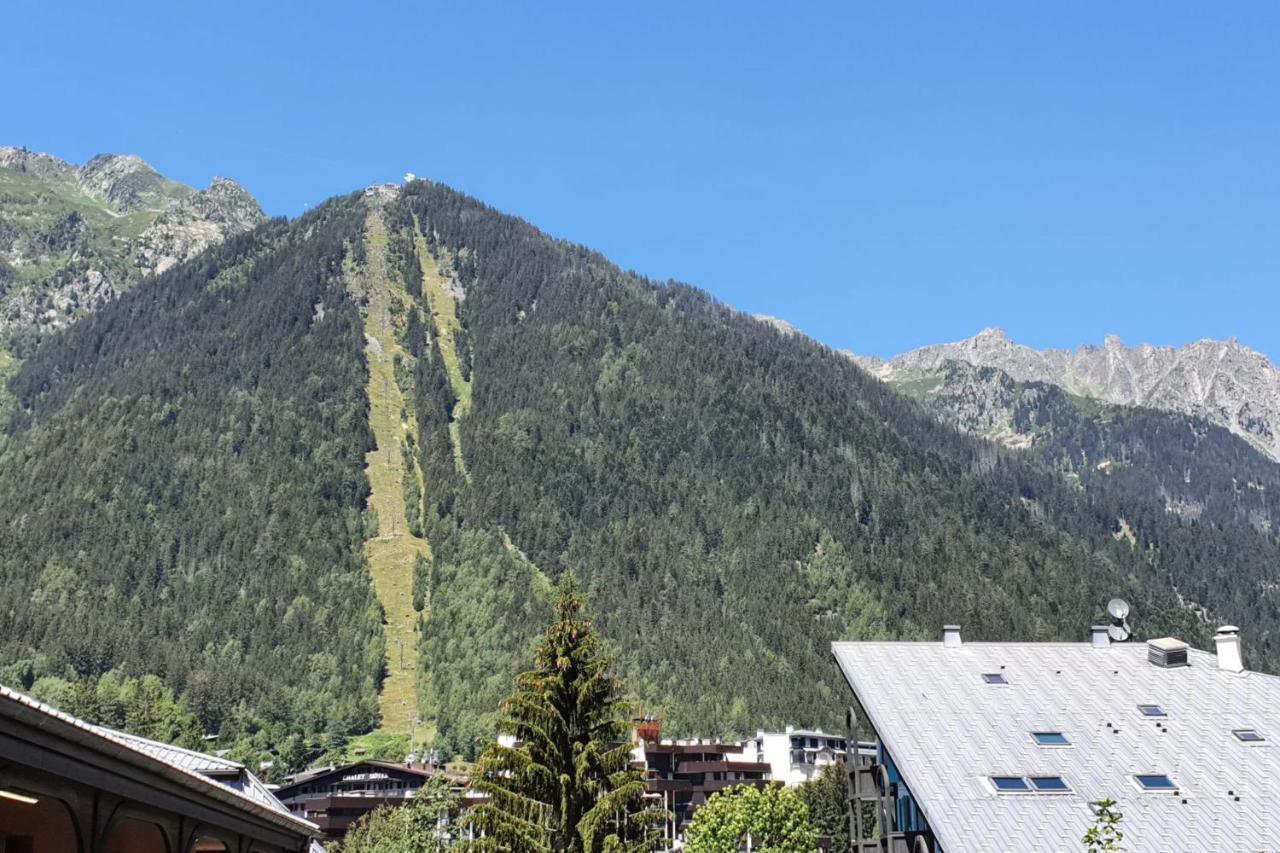 Nice 32M With Balcony View On The Mountain Chamonix Bagian luar foto